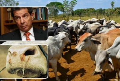 “Amenaza de aftosa está latente por contrabando desbordado”: Lafaurie