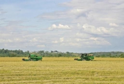 Agro y tecnología, sinergia a la que le apuntan en el Meta