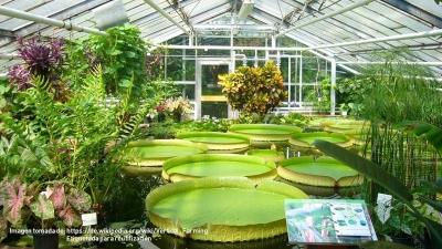 Las granjas verticales son la opción ante el crecimiento de la población mundial