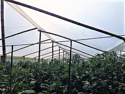 Agricultores colombianos deben invertir en nuevas tecnologías